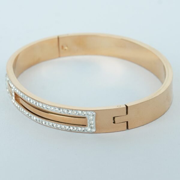 Amber - Image 3
